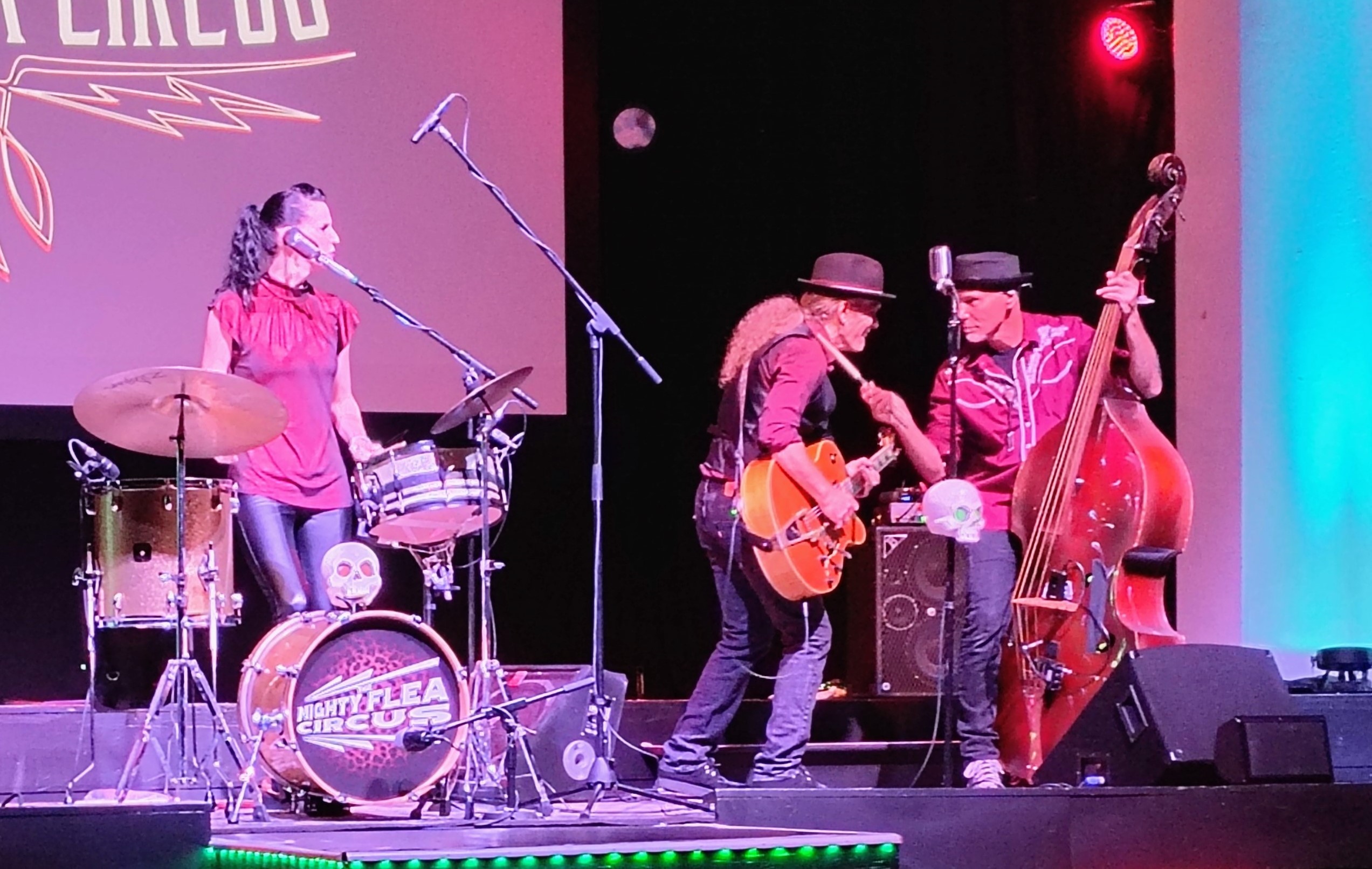 Mighty Flea Circus Video Clip